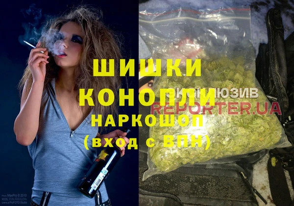 шишки Сосновоборск