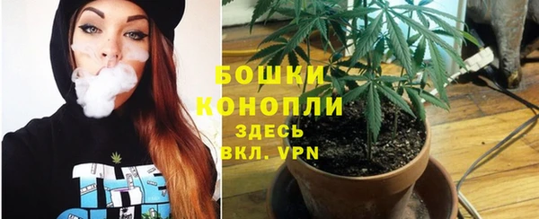 трава Сосновый Бор